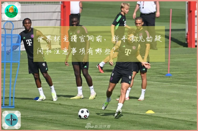 世界杯竞猜官网前，新手常见的疑问和注意事项有哪些？
