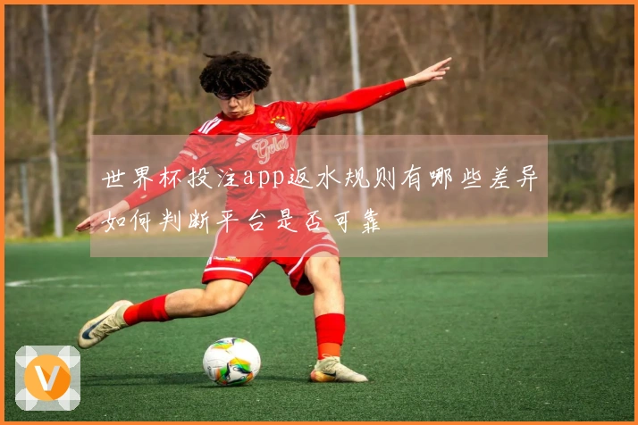 世界杯投注app返水规则有哪些差异如何判断平台是否可靠