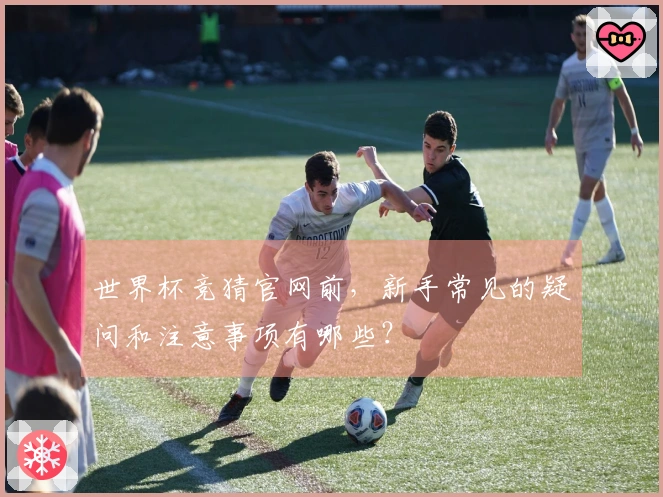 世界杯竞猜官网前，新手常见的疑问和注意事项有哪些？