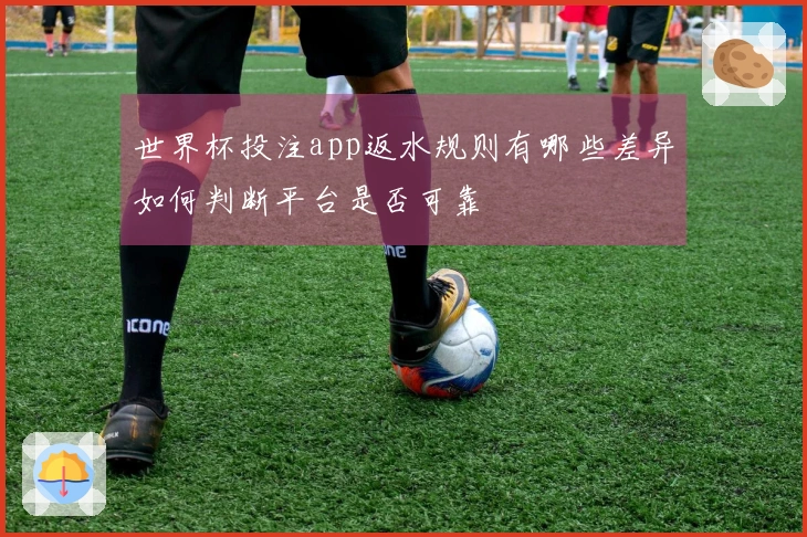 世界杯投注app返水规则有哪些差异如何判断平台是否可靠