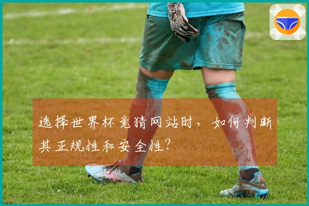 选择世界杯竞猜网站时，如何判断其正规性和安全性？